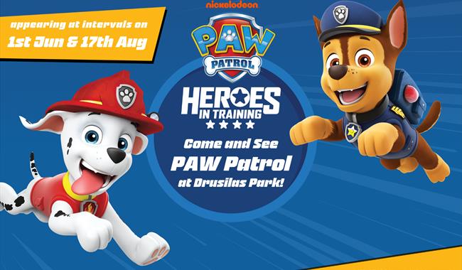 paw patrol at Drusillas Park