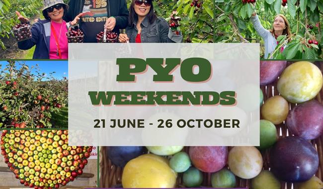 Pick-Your-Own-Fruit weekends