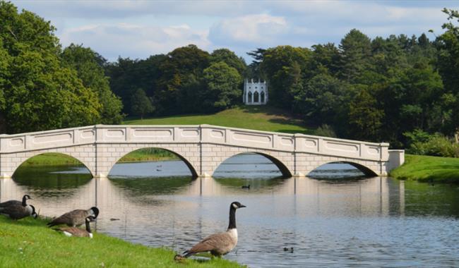 View of bridge at Painshill, with the Gothic Temple in the background.