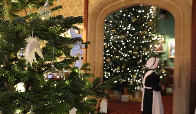Festive Fun at Beaulieu