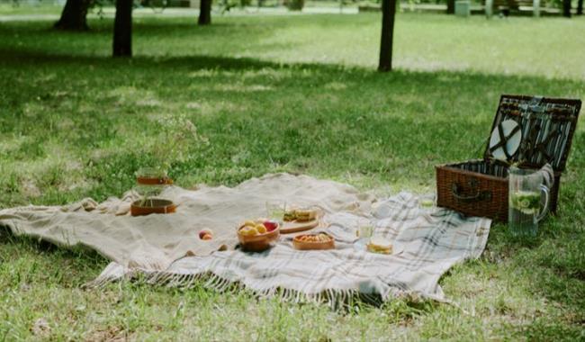 Regency Picnic at Whitchurch Silk Mill