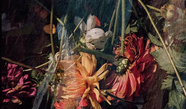 overlay of flowers