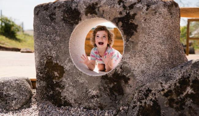 Play Wild at Winchester Science Centre