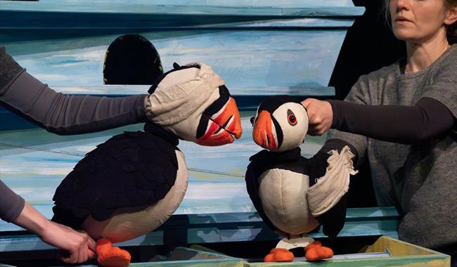 Puffling Percy