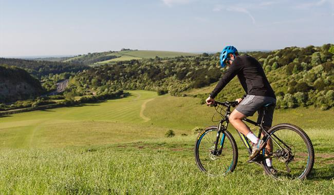 Mountain Biking at Queen Elizabeth Country Park