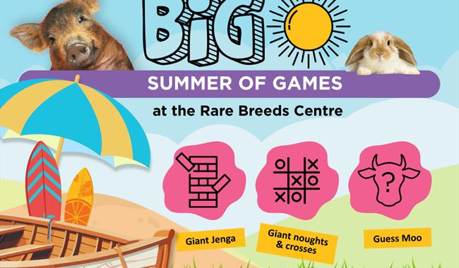 big summer of games graphic
