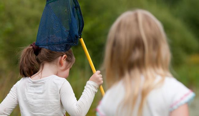 Pond Dipping