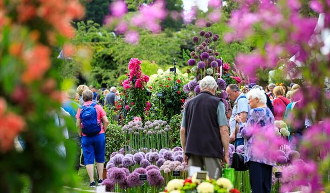 Wisley Flower Show in full swing