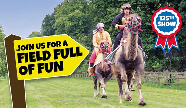 Camel racing at the Royal Isle of Wight County Show  2023 - What's On, events