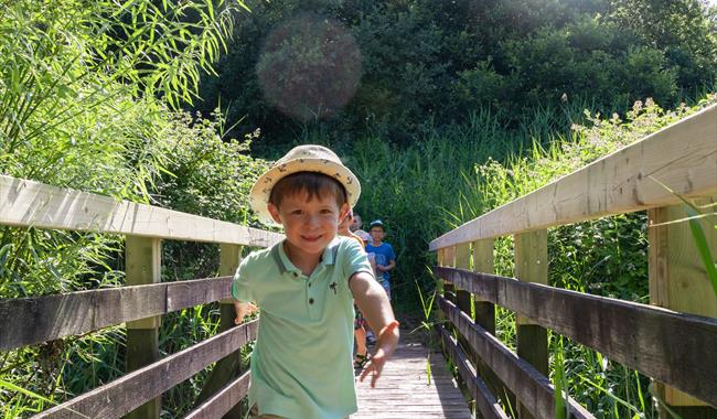 Boy on wooden boardwalk in a reedbed