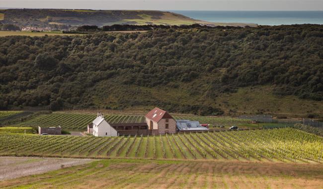 Rathfinny Wine Estate