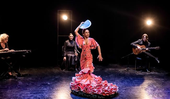 Rebeca Ortega Flamenco - Silences