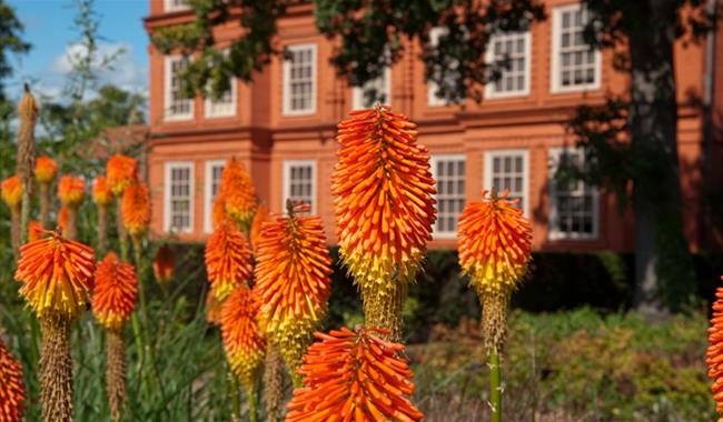 Royal Botanic Gardens Kew