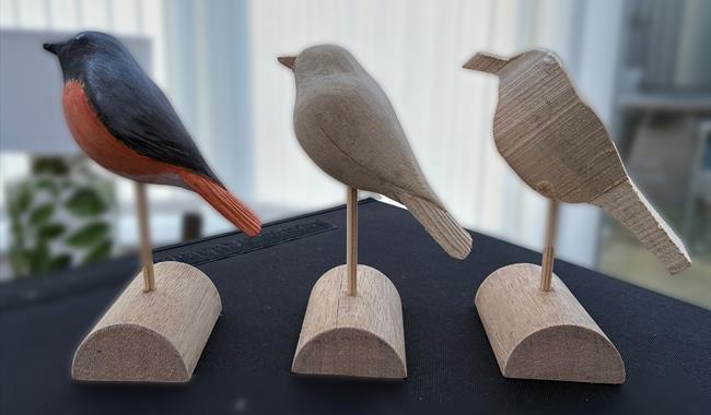 Begin Wood Carving – Redstart
