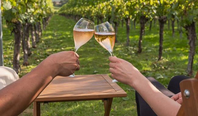 Roebuck Estate Vineyard in West Sussex