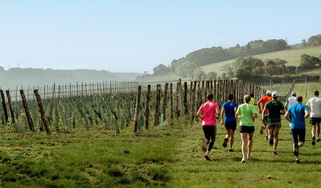 May Run For Wine
