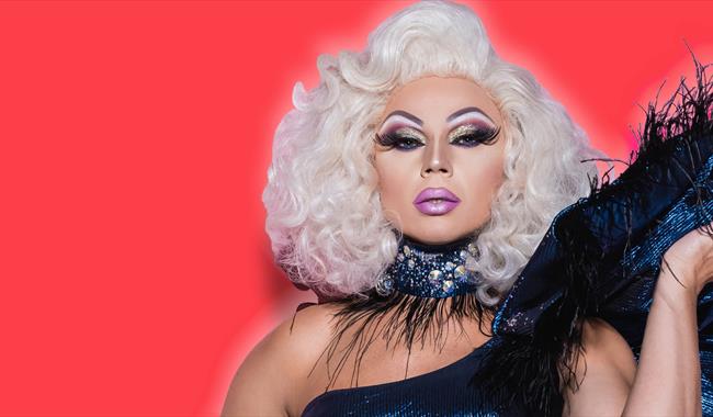 drag bingo