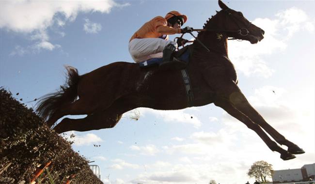 Sandown Park Racecourse