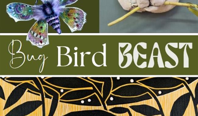 Bug, Bird, Beast