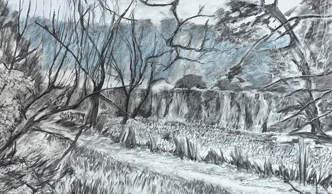 Sophie Hacker Exhibition
