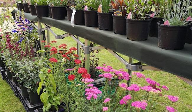 Spring Fair