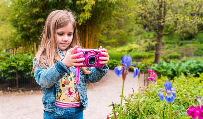 Spring Family Spotter