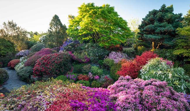 Leonardslee Gardens