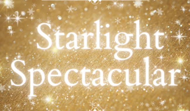 Denbies Starlight Spectacular