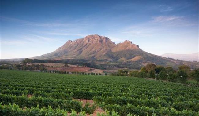 World of Wine: Spectacular South Africa!