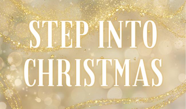 Christmas at Denbies