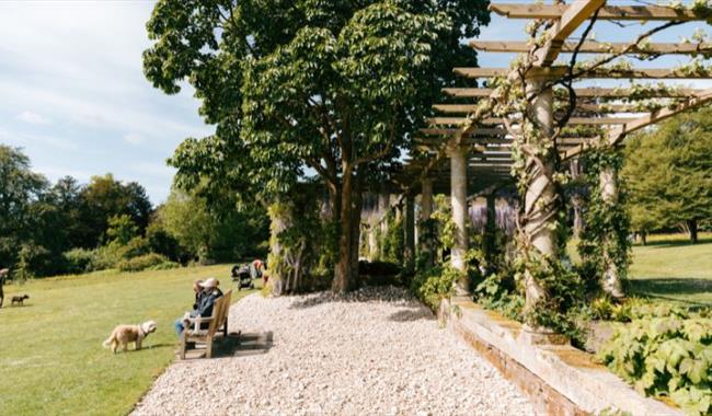 Stunning 300 foot pergola at West Dean Gardens
