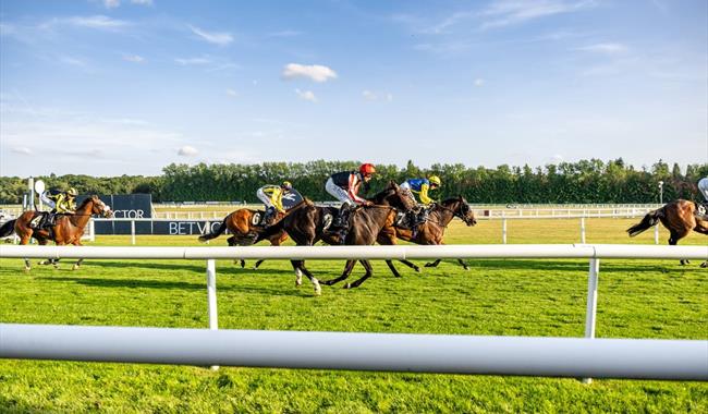 August Evening Raceday at Newbury Racecourse