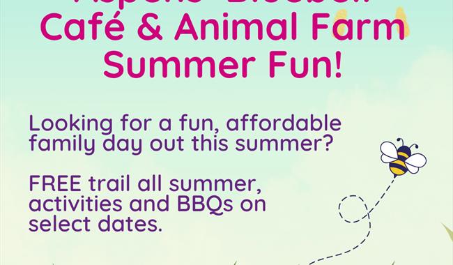 Summer Holiday Fun
