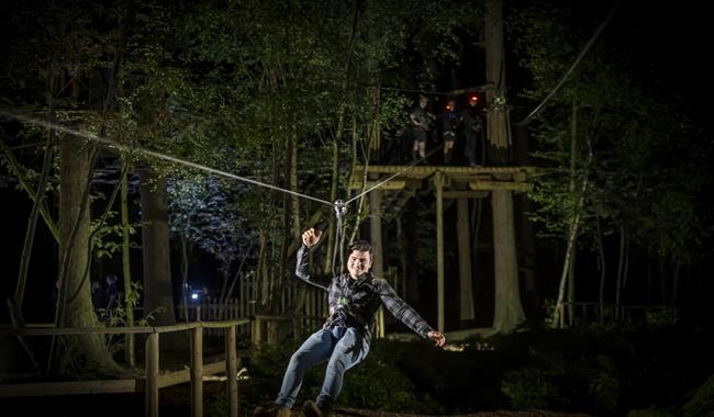 Go Ape at Black Park Sundown Adventures