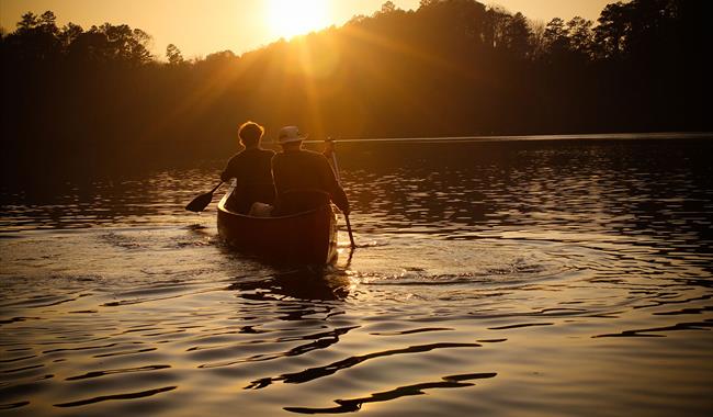 Sunset Chasers Paddling with New Forest Activities