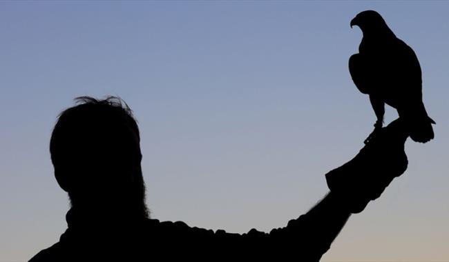 silhouette of a man holding up a raptor