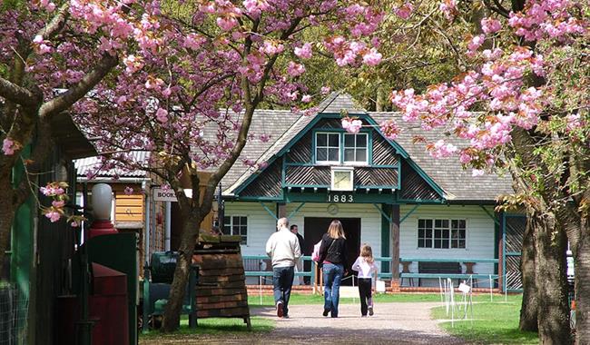Surrey Hills Spring Fair