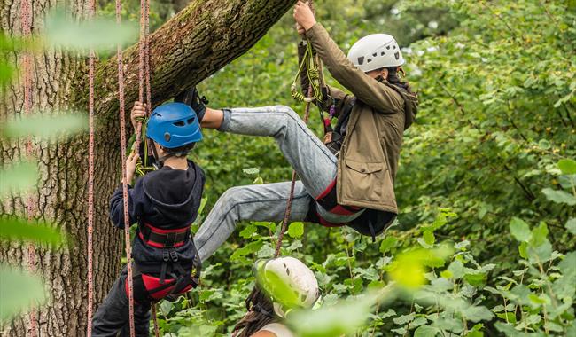 Surrey Hills Wood Fair 2024