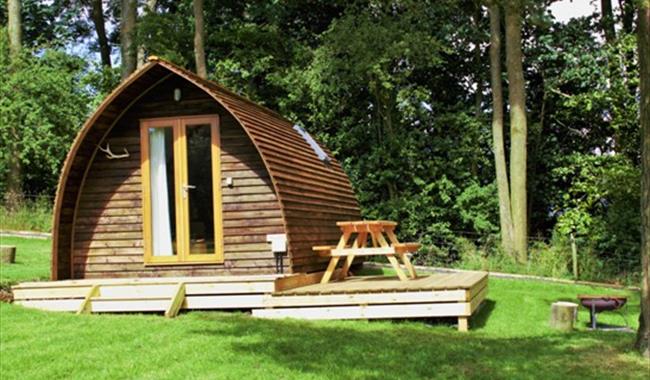 chawton park farm wigwams camping caravan site in alton hampshire visit south east england