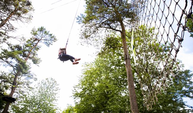 Tarzan swing at Go Ape