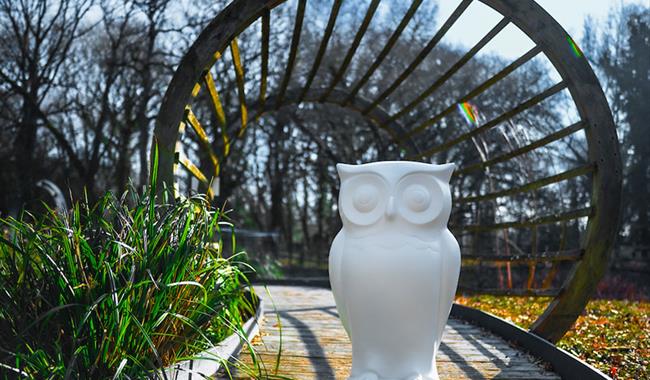 The Big Hoot