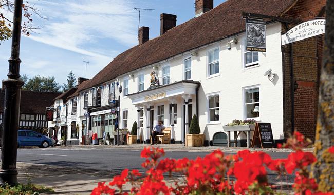 The Dog & Bear Hotel
