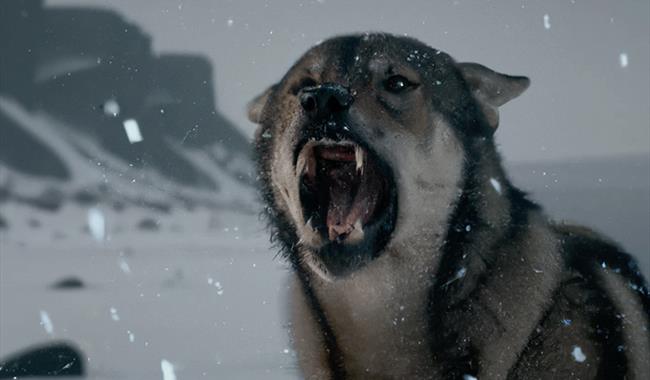 A screenshot from The Frost, an AI-generated film, showing a wolf growling in the snow.