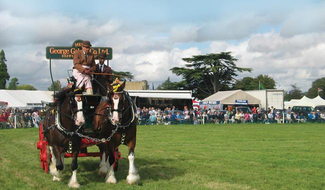 The Romsey Show