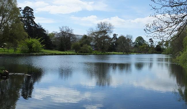 The Vyne Lake