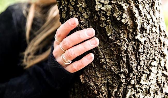 Forest Bathing