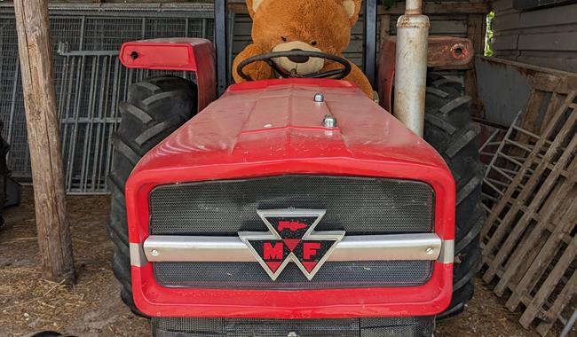 Teddy on Tractor