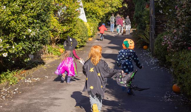 Halloween Trail at Leonardslee Lakes and Gardens in West Sussex