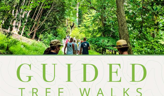 Guided Tree Walks