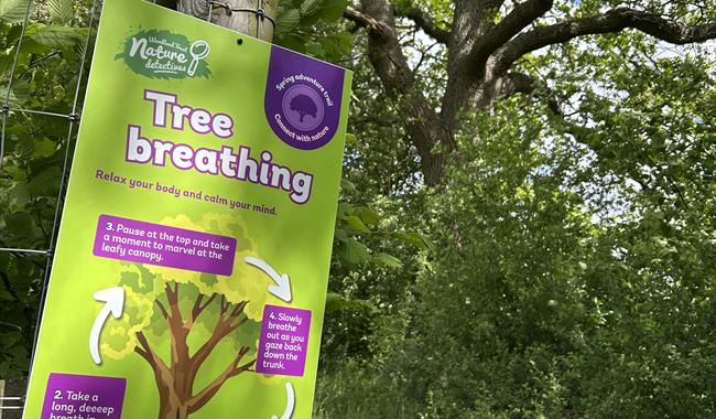 A bright green "Tree Breathing" activity sign is attached to a wooden fence post in a woodland setting. The sign explains a breathing exercise using a